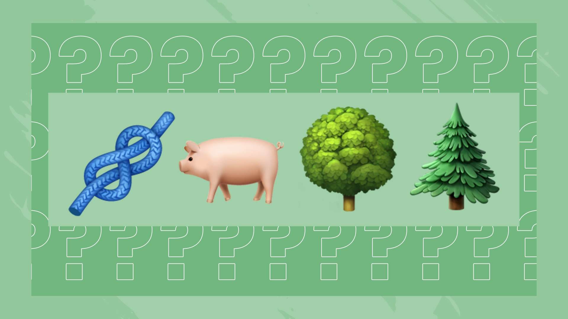 与训练方案 与训练方案