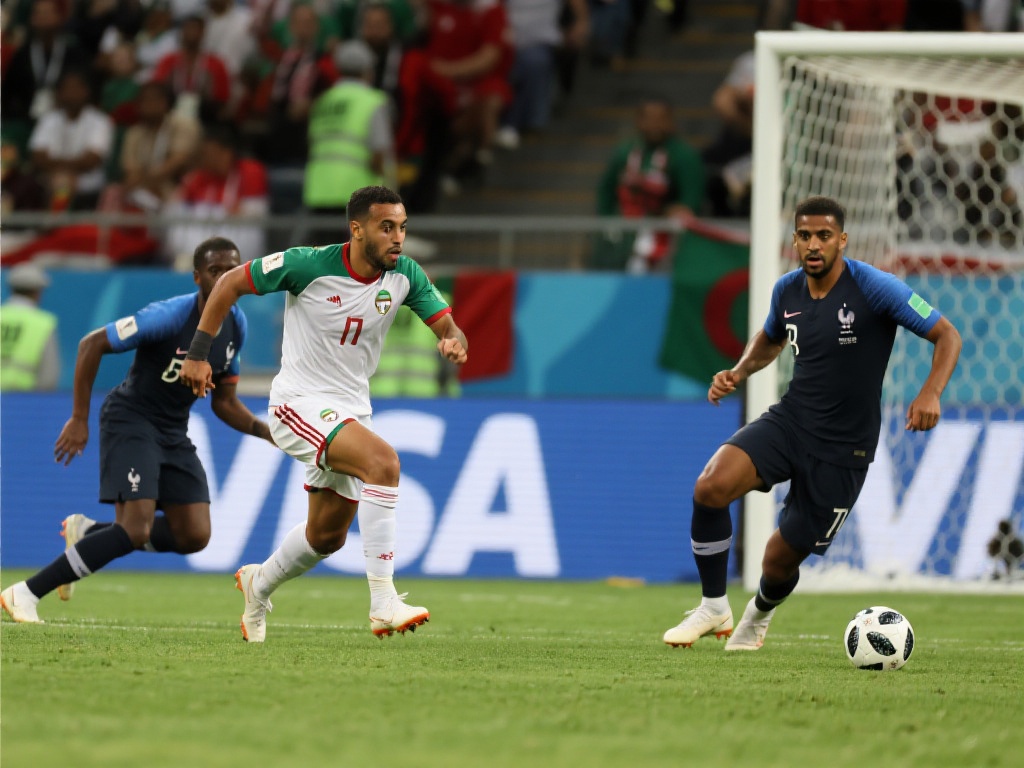 外援引进逐 外援引进逐