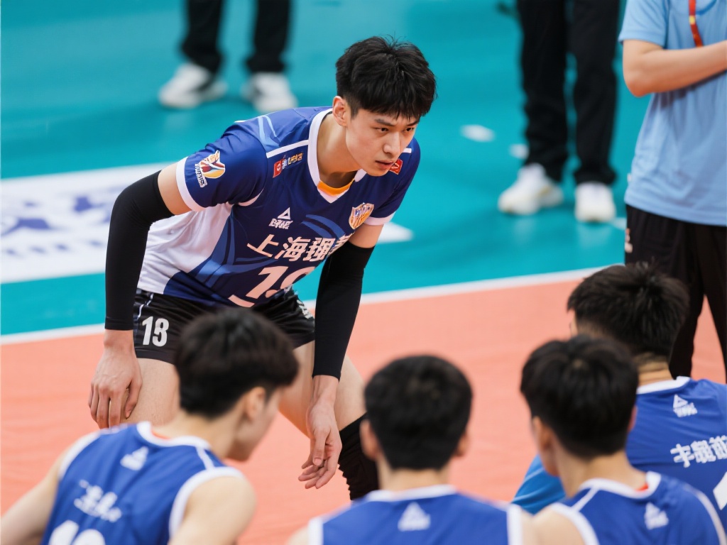 仅揭示了球 仅揭示了球